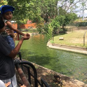 Meet your Posher, Joel